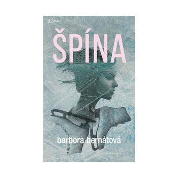 Špína