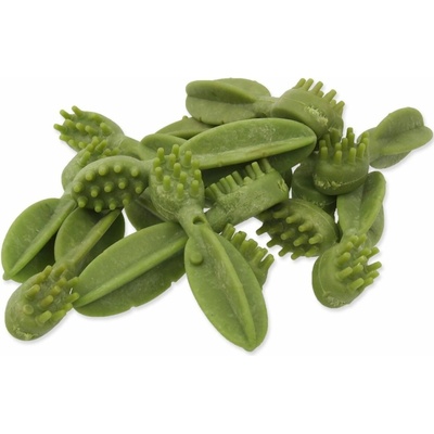 Displej Kartáček Mr.Dental s chlorofylem 8,5 cm 70 ks