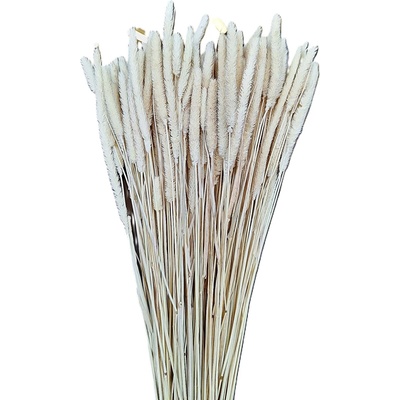 Phleum - sušený bojínek bílá 100 g