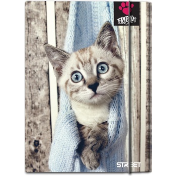 Image 1 of STREET Папка с ластик STREET A4, friends (24835-А-FRIENDS)