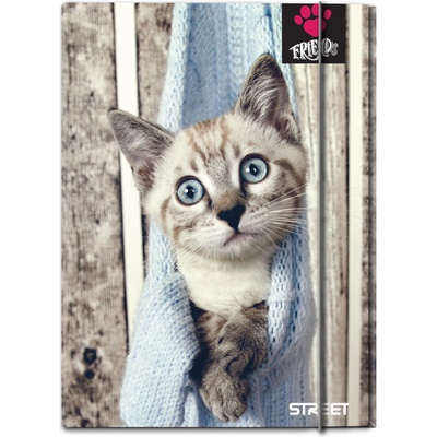 STREET Папка с ластик STREET A4, friends (24835-А-FRIENDS)