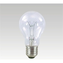 TES-LAMP žárovka 25W E27 čirá standard