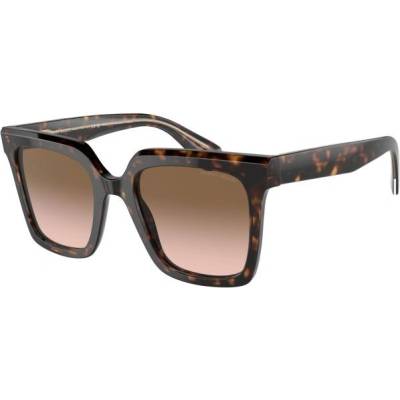 Giorgio Armani 8156 587951