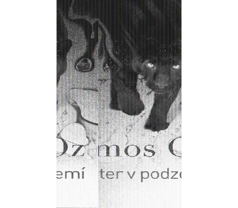 Panter v podzemí