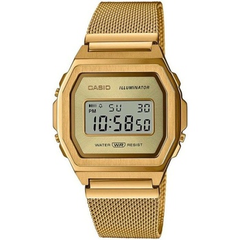 Casio A1000MG-9