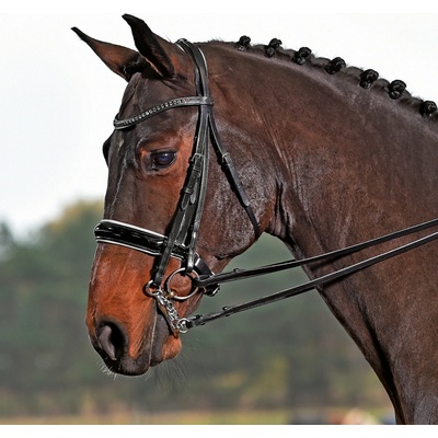 BUSSE Uzda Luxury černá white crystal grey