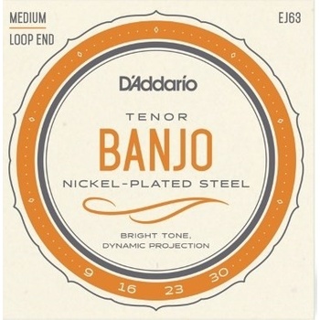 D'addario EJ63