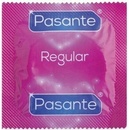 Pasante Regular 10 ks