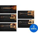 Ample Sound Ample 5in1 Acoustic Guitars Bundle (Дигитален продукт)