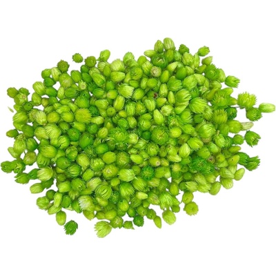 Sušené slamienky - hlavičky Helichrysum Vestitum 100g - svetlozelené