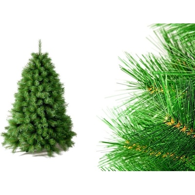 Kanadská borovice 180cm