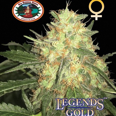 Big Buddha Seeds Legends Gold semena neobsahují THC 5 ks
