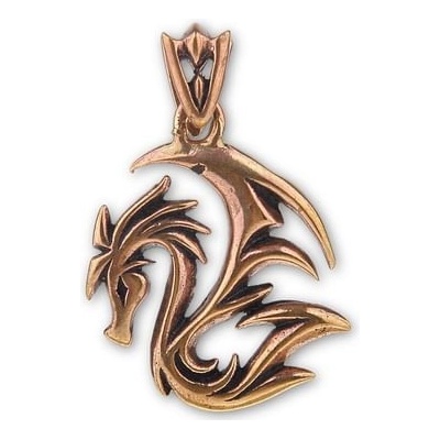imago Bronzový přívěsek Draka FC21408X