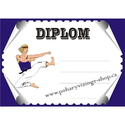 VIZINGR Karate diplom A4 č.10