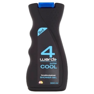 4ward SG 300ml Cool Wave МЪЖЕ