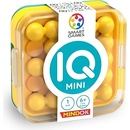 Mindok IQ Mini