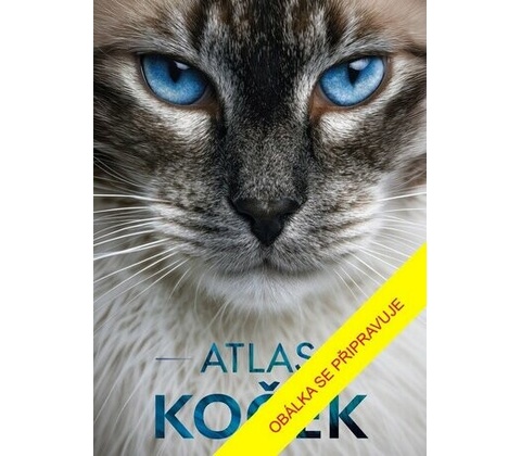 Atlas koček