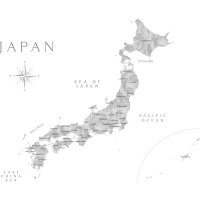 Plagát, Obraz - Map of Japan in gray watercolor, Blursbyai, 40 × 26.7 cm