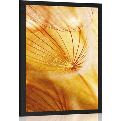 Plakát pampeliška v nádherném provedení - 20x30 white
