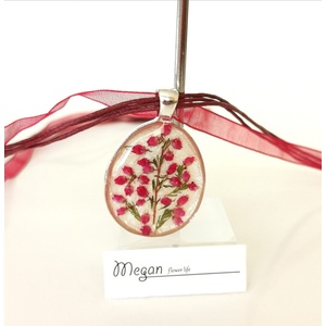Meganflo Ерика