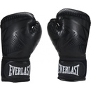 Everlast Spark Training