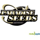 Paradise Seeds Auto Wappa semena neobsahují THC 3 ks