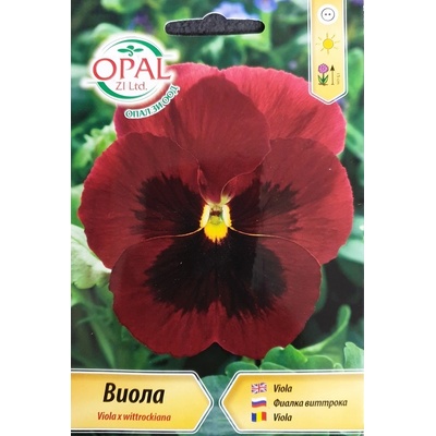 Opal Zi Виола Червена с черно Viola x wittroskiana