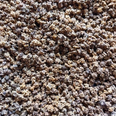Microgreens Červená repa na mikrozeleninu 50 g