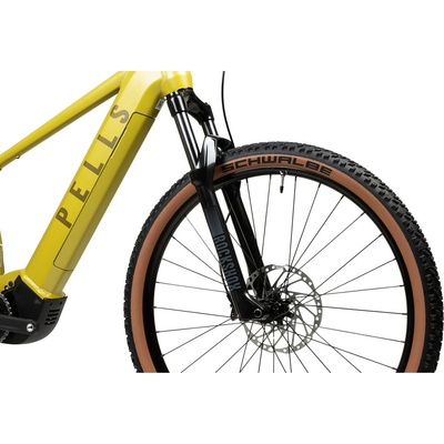 PELLS Thorr Panasonic 1 2027