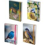 Spree Календар-бележник SPREE Birds 168 л. 2026 асорти