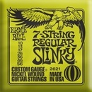 Ernie Ball 2621