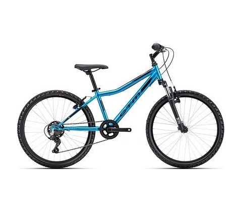 CTM BERRY 2025