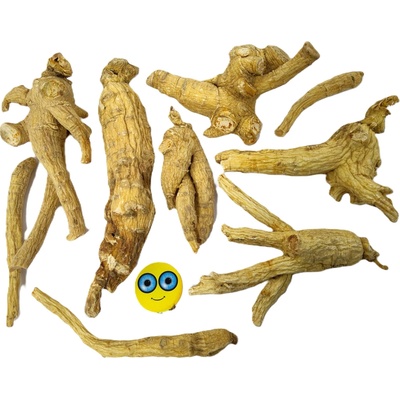 STEZA Ženšen pravý kořen celý 100 g