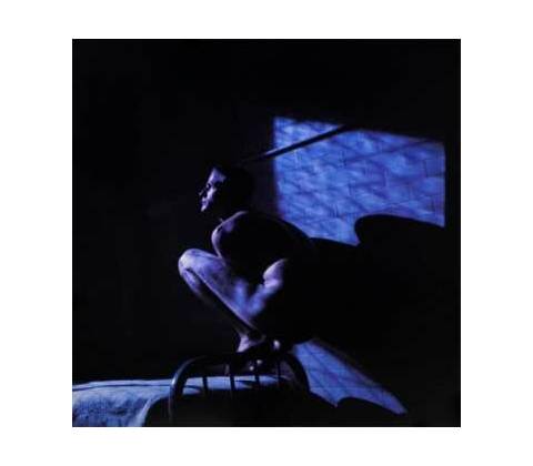 GABRIEL PETER: BIRDY CD