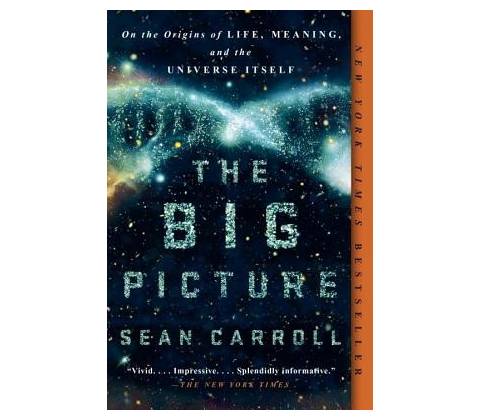 Big Picture