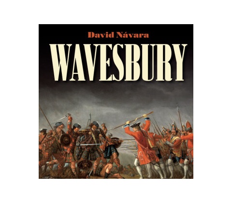 Wavesbury - Návara David