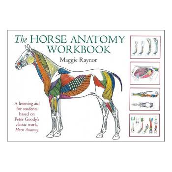 Horse Anatomy Workbook | Maggie Raynor