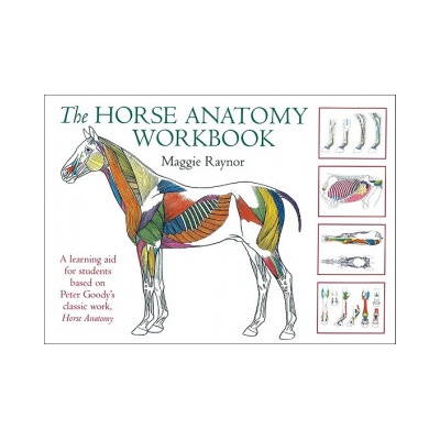 Horse Anatomy Workbook