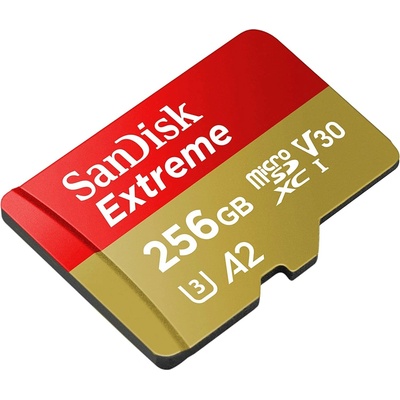 SanDisk microSDXC UHS-I U3 256GB SDSQXAV-256G-GN6MA
