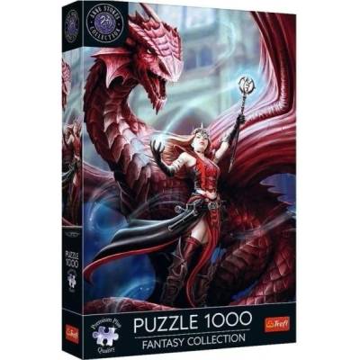 Trefl Fantasy Collection 1000 Ален магьосник (10902)