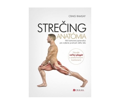 Strečing - anatómia - Ramsay Craig