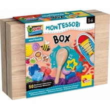 LISCIANI MONTESSORI BOX 50 AKTIVIT