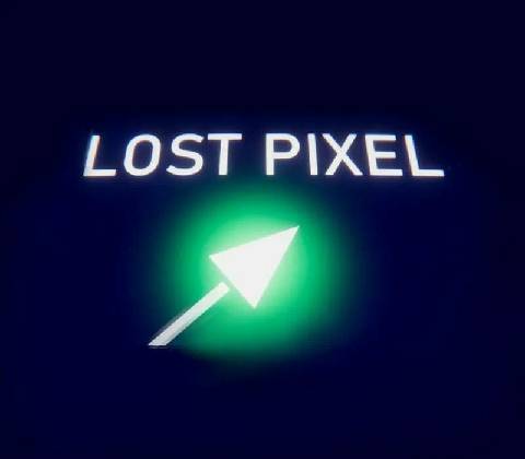 Lost Pixel