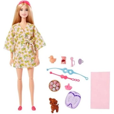 Barbie Wellness V kúpeľoch GKH73