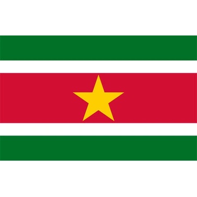 Vlajka Fostex Surinam 1,5x1 m