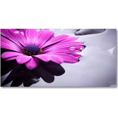 Fotoobraz na skle Gerbera 100x50 cm