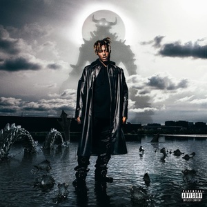 Universal Juice WRLD: Fighting Demons - CD (047952)