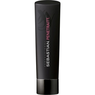 Sebastian Professional Foundation Penetraitt Schampoo 250 ml