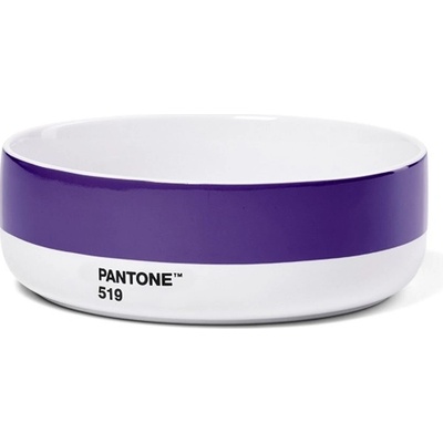 Pantone Polévková miska violet 519