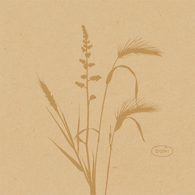 DUNI Servítka bio dsf meadow natura 20x20cm
